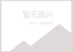 大新县惜雪机械有限公司